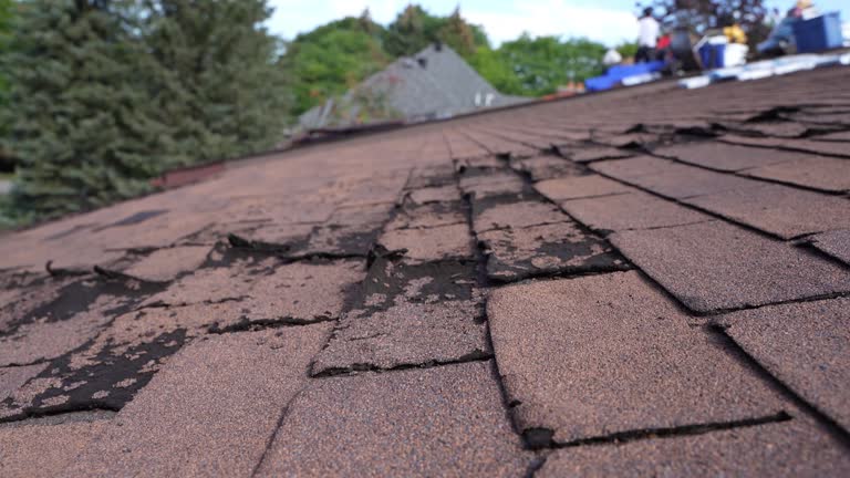 Fast & Reliable Emergency Roof Repairs in Brooks, KY